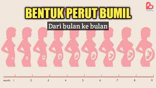 Perubahan Bentuk Perut Ibu Hamil Setiap Bulan Kehamilan [upl. by Marriott29]