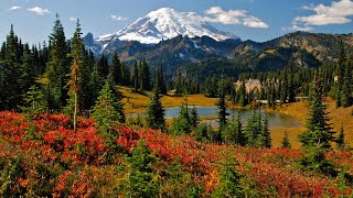 Discover Mt Rainier National Park from Seattle Washington [upl. by Bainter]