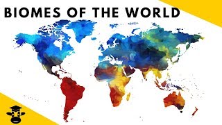 7 Biomes of the World Facts [upl. by Leanatan738]