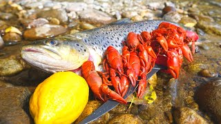 Catch n Cook BROWN TROUT and River CRAWFISH [upl. by Eterg]