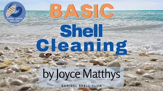 How to Clean Shells  Basic Shell Cleaning [upl. by Yremrej]