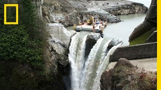 After Largest Dam Removal in US History This River Is Thriving  National Geographic [upl. by Yenahs]