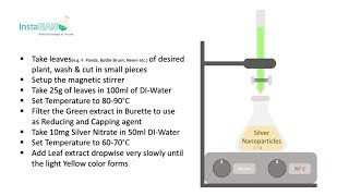 Synthesis of Silver Nanoparticles by Leaf Extract  InstaNANO [upl. by Yssirk]