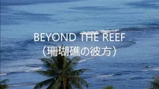 BEYOND THE REEF珊瑚礁の彼方 Steel Guitar [upl. by Ashil222]