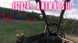 Finding ANIMALS in MSFS2024 [upl. by Fabri]