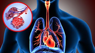 El SISTEMA RESPIRATORIO explicado sus partes y funcionamiento👩‍🏫 [upl. by Eciral701]