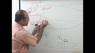 Inflammation  Vascular Events  Immunology  Dr Najeeb [upl. by Alaehcim598]