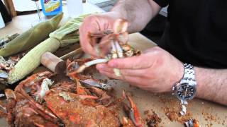 How To Eat Steamed Crabs [upl. by Tolmann]