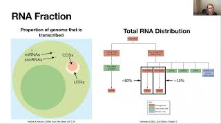 Webinar 11  Beginners guide to bulk RNASeq analysis [upl. by Bautista]