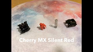 How To Lube Cherry MX Silent Red Switches [upl. by Marolda]