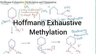 Hoffmann Exhaustive methylation and Elimination I Amines I Particles Academy [upl. by Camey]