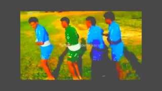 Mehari Degefaw Wollo Ethiopia music new 2013 [upl. by Nishom]