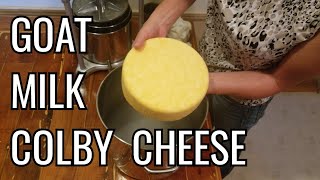 Homemade Colby Cheese Made From Goats Milk [upl. by Retep501]