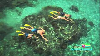 Snorkeling the Great Barrier Reef [upl. by Assenna]