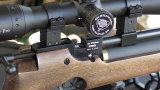 REVIEW Air Arms S200  CZ 200 Air Rifle  Squirrels Nuts  50 Yards [upl. by Weiman430]