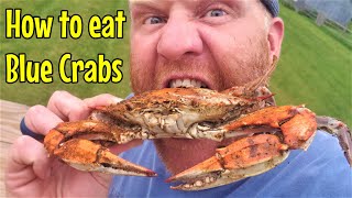 How to PROPERLY Pick amp Eat Maryland Blue Crabs [upl. by Siulesoj229]