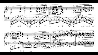 Liszt Reminiscences de Norma Tozer [upl. by Hutner]