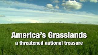 Americas Grasslands A Threatened National Treasure [upl. by Maggs]