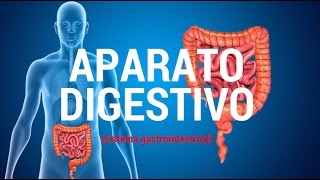 Aparato digestivo sistema gastrointestinal [upl. by Harriette384]