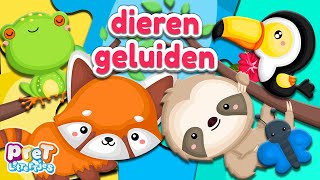 Wie Staat er Op de Puzzel • Pretlettertjes Dierengeluiden Puzzels nr3 [upl. by Lathe]