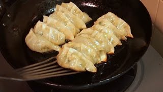 Gyoza Jiaozi Todays Cooking [upl. by Hilde]