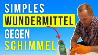 2 handelsübliche Zutaten zur effektiven Schimmelbekämpfung kaum bekanntes Hausmittel [upl. by Sivehc]