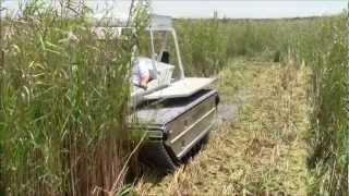 Marsh Master MM2C Cutting Phragmites [upl. by Yetti]