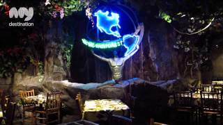 The Rainforest Cafe  London [upl. by Alexander]