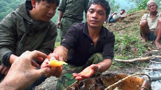 Hallucinogen Honey Hunters  Hunting Mad Honey  Full Documentary [upl. by Lantha]