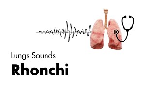 Emphysema vs Bronchitis [upl. by Sena]