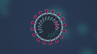 How do DNA Vaccines work [upl. by Aicnelav]