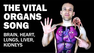 THE ORGANS SONG Brain Heart Lungs Liver Kidneys [upl. by Yesrod859]