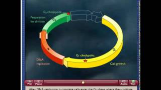 Control of the Cell Cycle [upl. by Ybor]