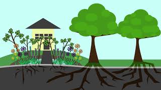 Rain Gardens 101  Full Video [upl. by Ynnavoeg]