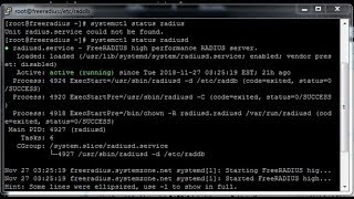 FreeRADIUS Installation and Basic Configuration on CentOS 7 [upl. by Naihr]