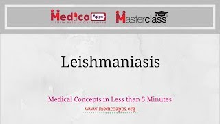 Leishmaniasis [upl. by Nimrac479]