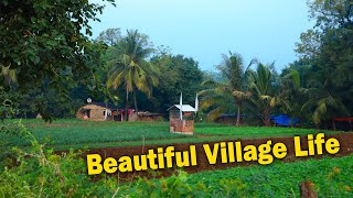 Beautiful Village Life In Gujarat India  Village Life  Village Neture Scenery [upl. by Nored221]