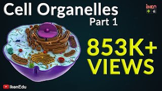 Cell Organelles  Part 1  Animation Video  Iken Edu [upl. by Malone402]