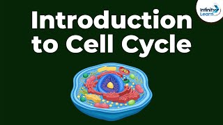 Introduction to Cell Cycle  Dont Memorise [upl. by Wivinah]