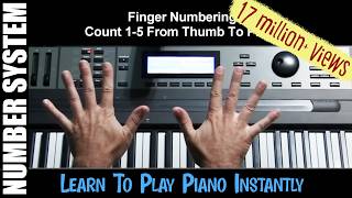 Learn To Play Piano Instantly 1 Beginning Training Pro Shortcuts [upl. by Ecraep]