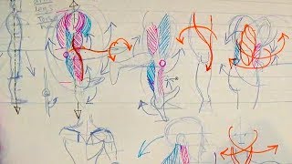 How to Draw Human Anatomy Part 1  Beginner Introduction [upl. by Catlaina]