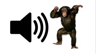 Monkey  Sound Effect [upl. by Ainerbas]