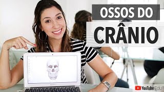 Ossos do crânio Sistema Esquelético 35  Anatomia etc [upl. by Euqinad]