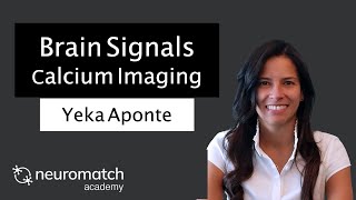 Brain Signals Calcium Imaging [upl. by Nagel]