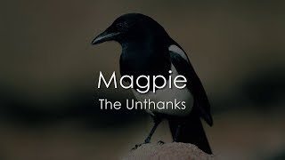 Magpie  The Unthanks  LYRICS [upl. by Ahola472]