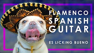 9 HOUR FLAMENCO SPANISH GUITAR  RELAXING ACOUSTIC GUITAR INSTRUMENTAL MUSIC FOR STUDYING [upl. by Paapanen932]