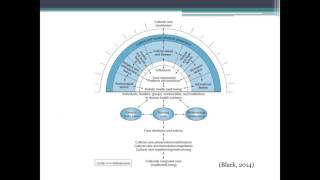 Leininger Theory  JMU [upl. by Amalbergas]