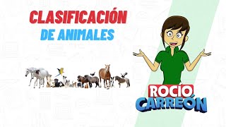 CLASIFICACIÓN DE ANIMALES Herbívoro Carnívoro Omnívoro e Insectívoro [upl. by Hayidah]