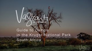 A Guide to Kruger National Park Camps [upl. by Kreiner]