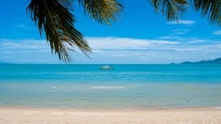 Best of Koh Samui Thailand top sights [upl. by Prudy]